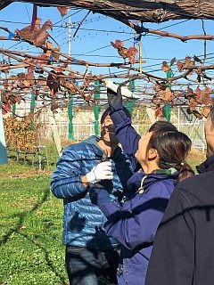 天気に恵まれ爽やかな実習になりました