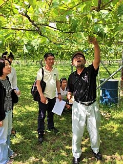 ぶどう造りについて熱心にご指導くださる社長（白百合醸造株式会社にて）