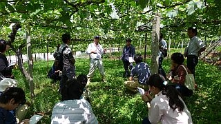 シャトー勝沼の圃場で栽培家の話を聞く受講生