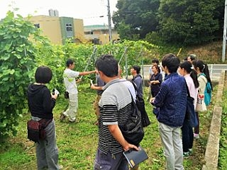 醸造家の風間さんからバルベーラというイタリアのぶどう品種について、話をしていただきました（甲斐ワイナリー株式会社にて）